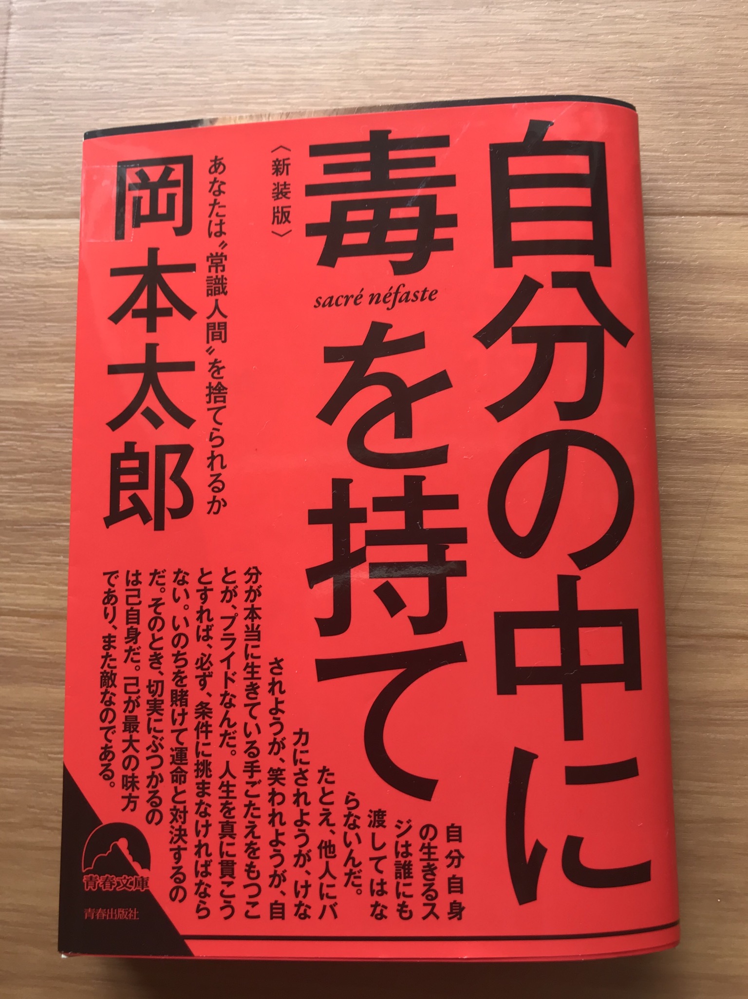 岡本太郎さんの著書 自分の中に毒を持て を読んでの感想 要約 ぐっちょんの沖縄移住